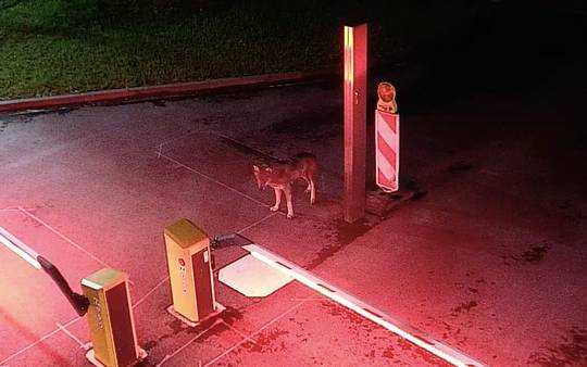 Bei diesem Foto handelt es sich um ein Bild aus dem Jahr 2021