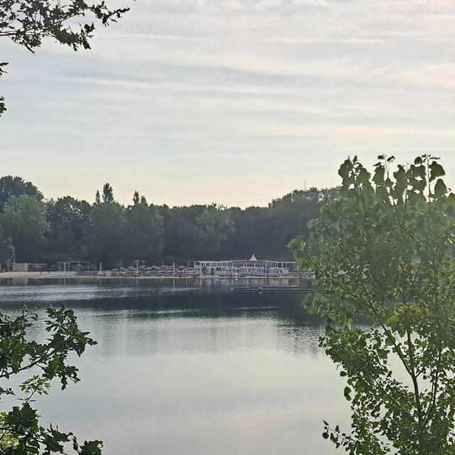 Escher See - Monkeys Island