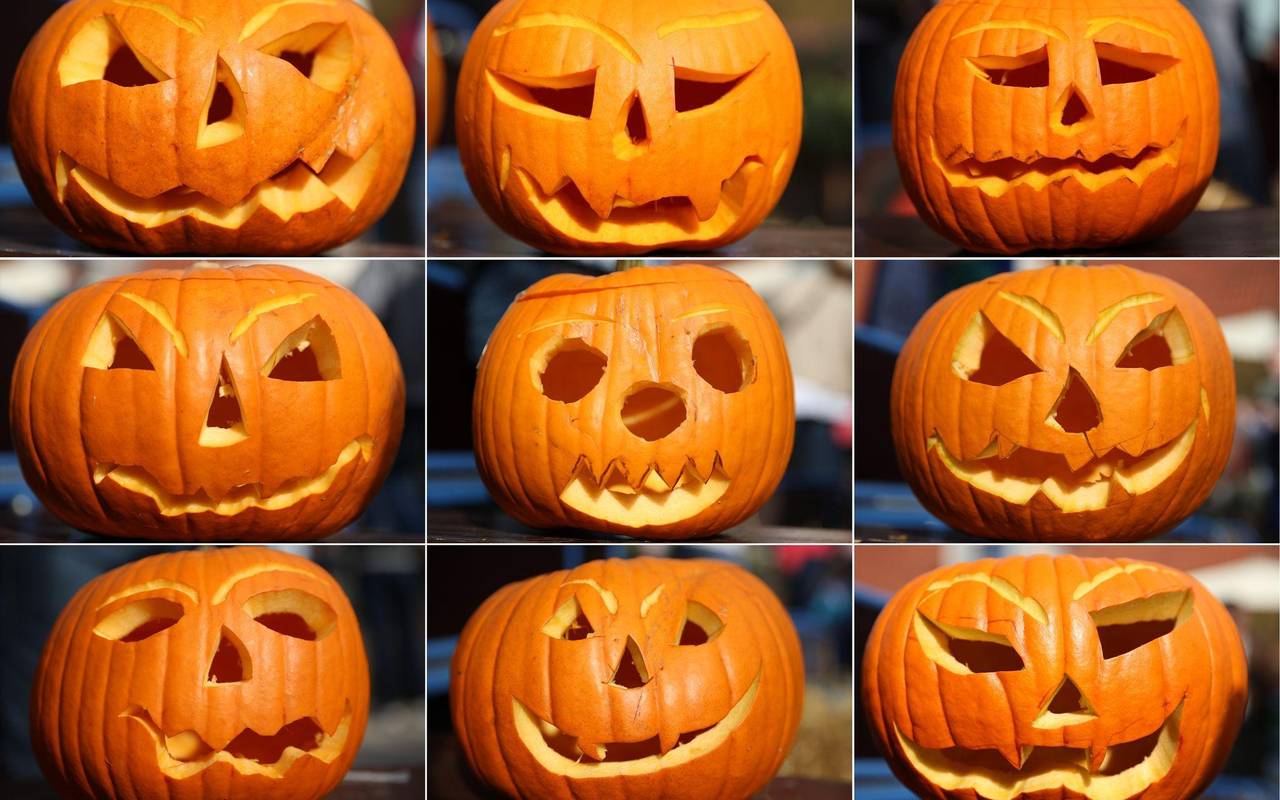 Populärer Pumpkin: Der kolossale Kürbis-Boom
