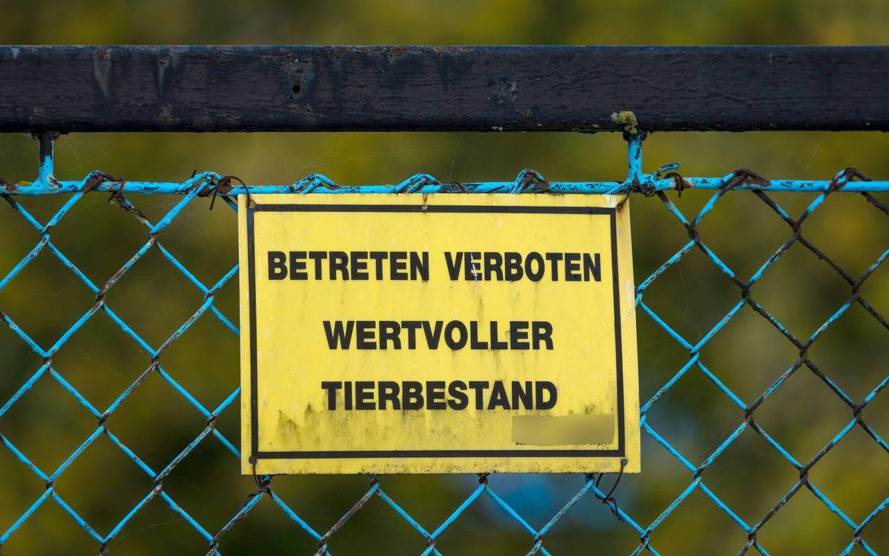 Vogelgrippe - Neuhardenberg