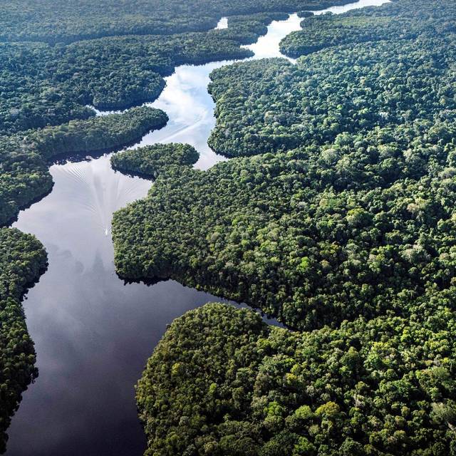 Klimaforschungszentrum im Amazonas