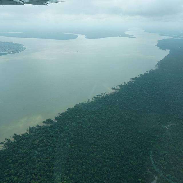 Überflug über das Amazonasgebiet
