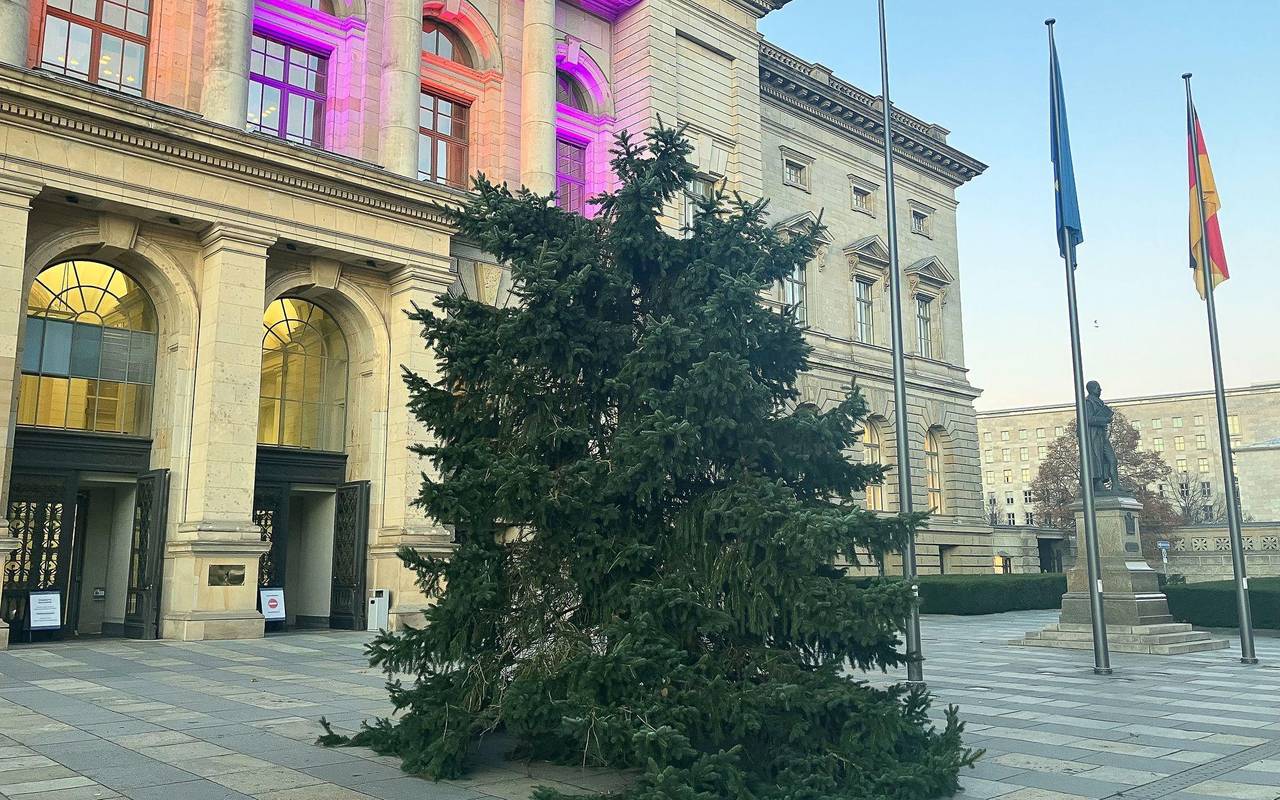 Weihnachtsbaum vor dem Abgeordnetenhaus