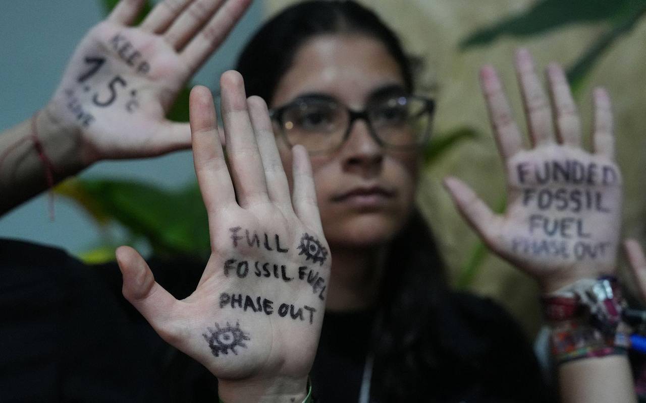 Weltklimakonferenz COP30