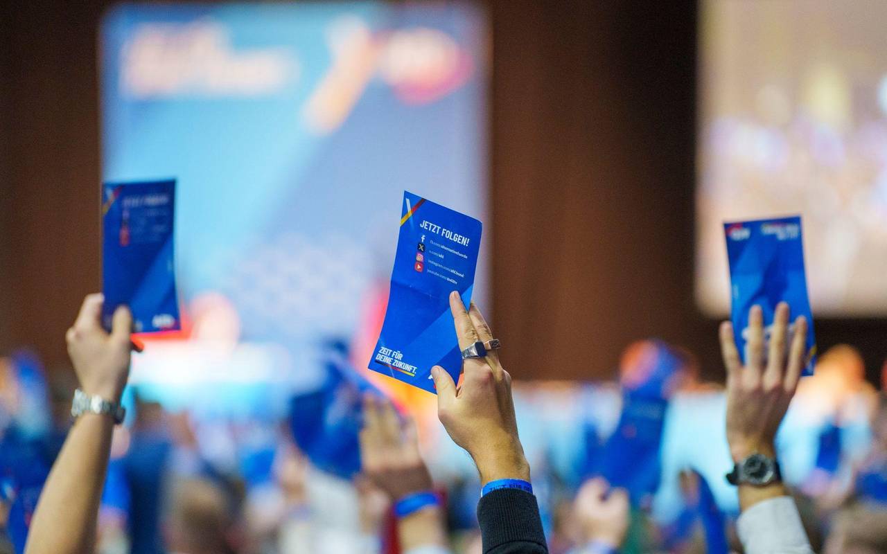 Neugründung AfD-Jugendorganisation