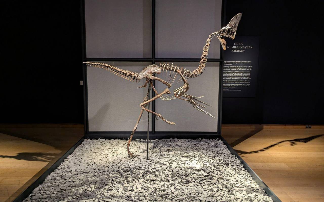 Tolkiens Schreibtisch und Batmans Motorrad unterm Hammer