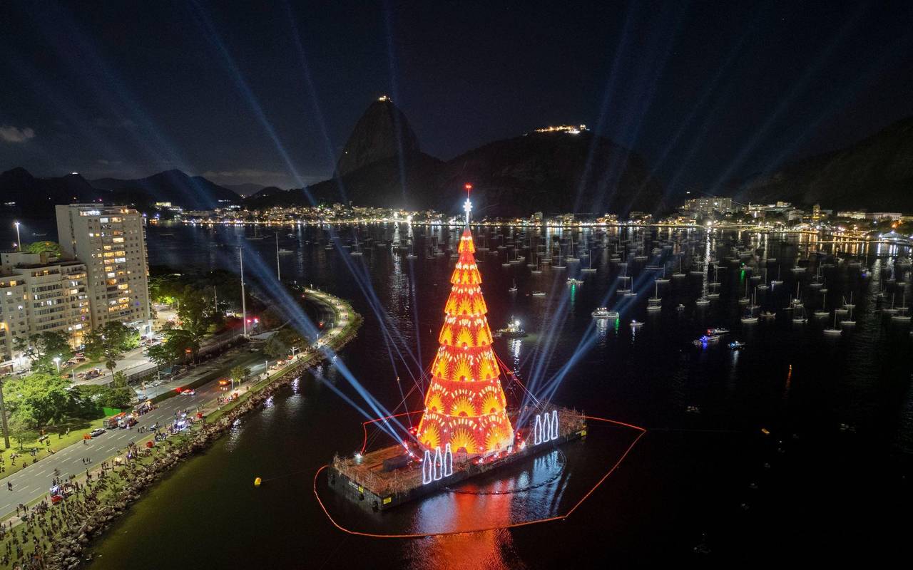 Weihnachtsbäume - Rio de Janeiro