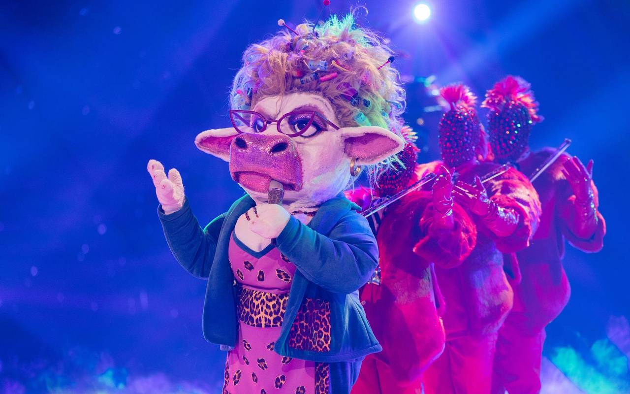 „The Masked Singer“ - Finale