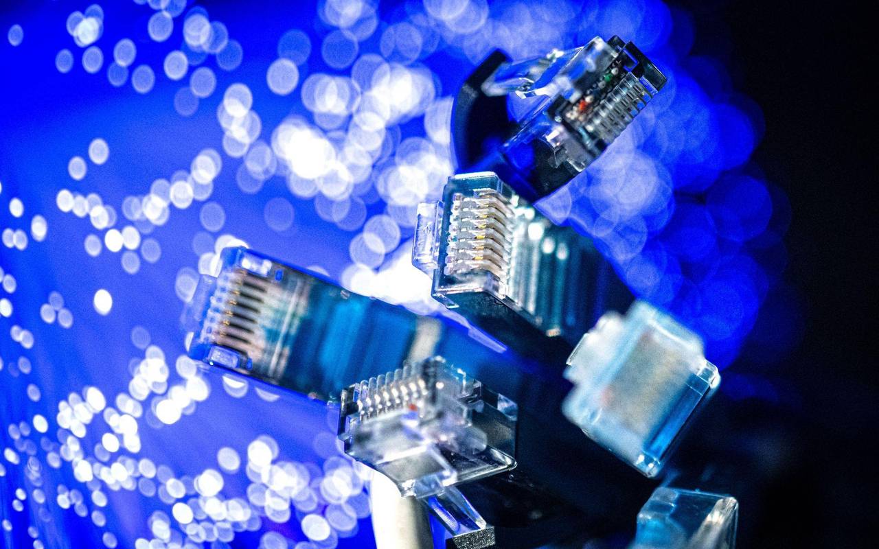 Netzwerkkabel (LAN-Kabel) liegen auf einem Tisch