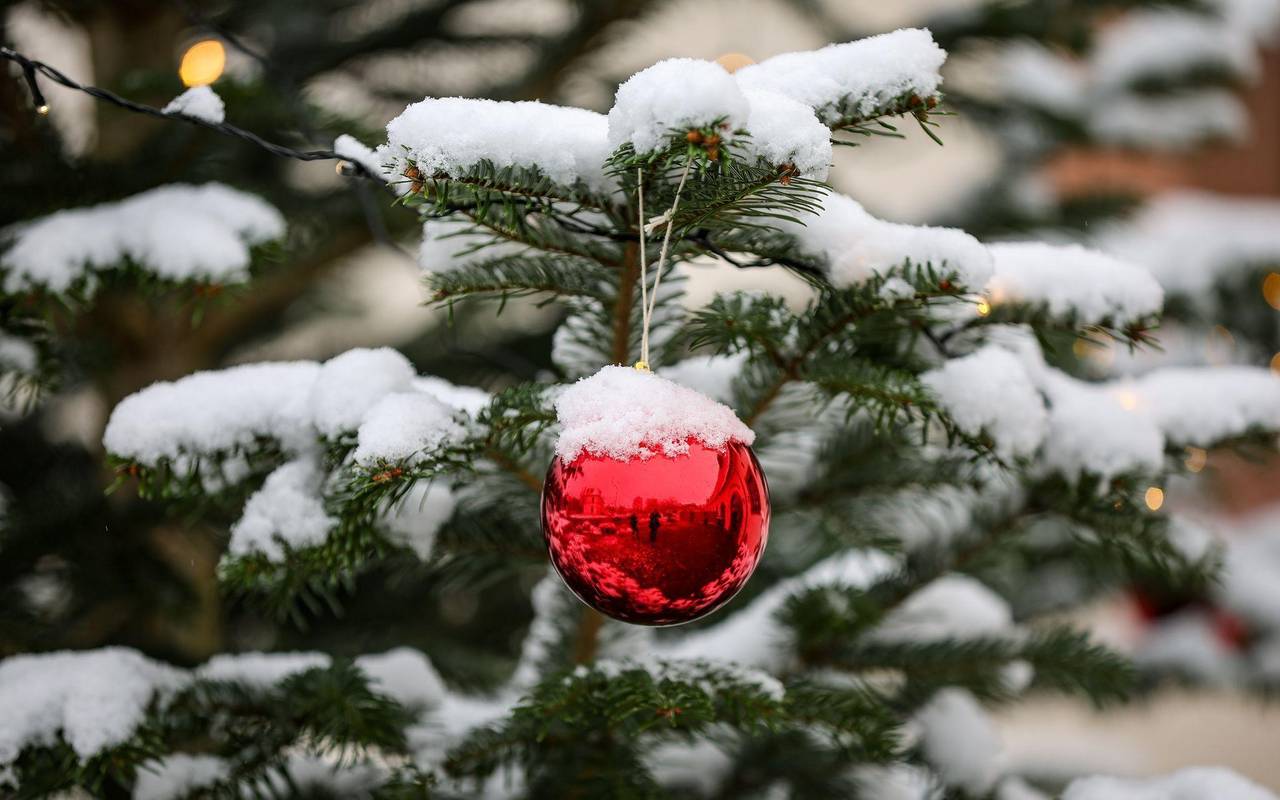 Wie stehen die Chancen für weiße Weihnachten?