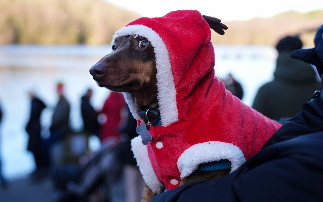 Weihnachtsbaden in Birmingham