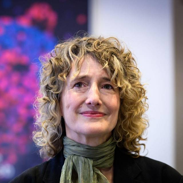 Ausblick auf die Berlinale 2026