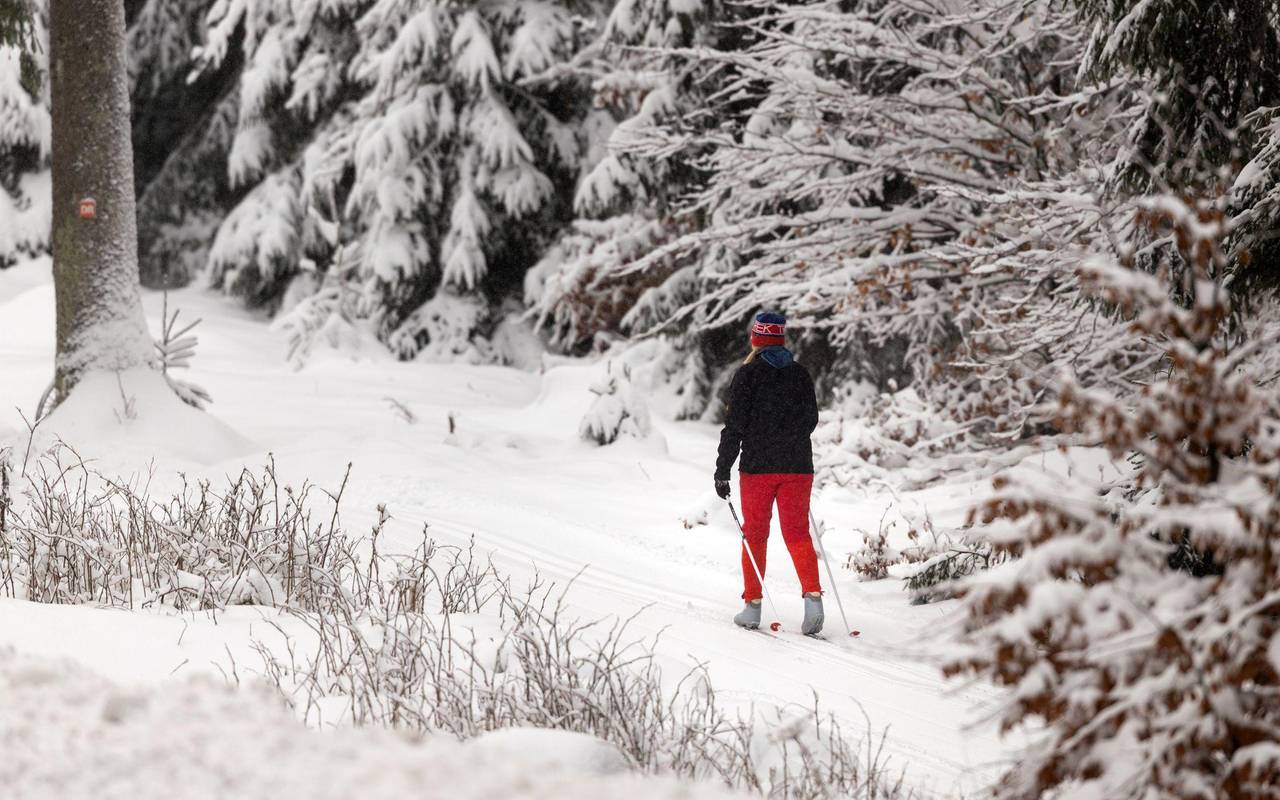 Winterwetter in Thüringen
