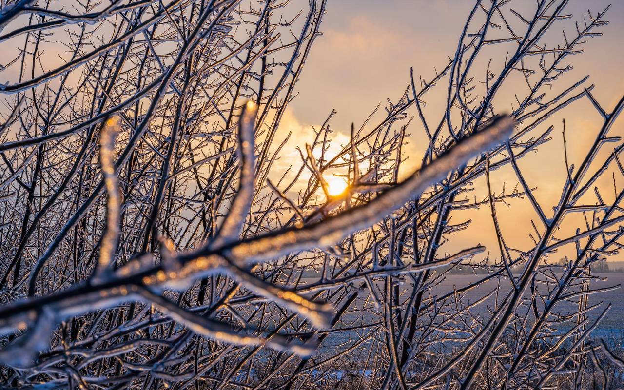 Winterwetter in Brandenburg