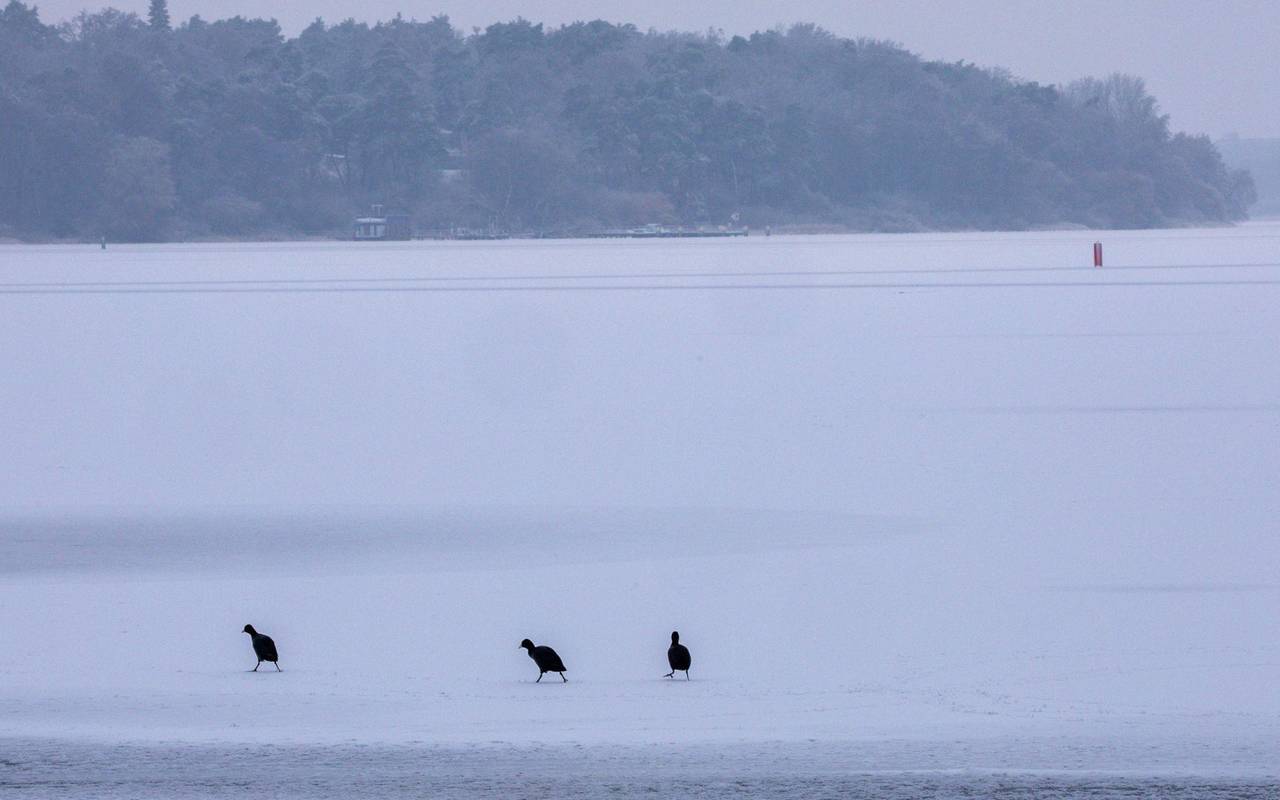 Winterwetter in der Seenplatte