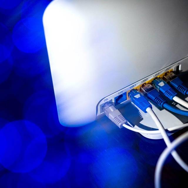 Zahlreiche Netzwerkkabel stecken in einem Router