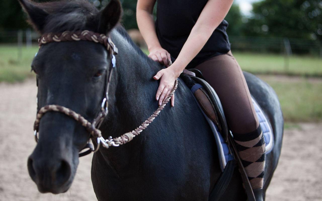 Frau streichelt ein Pony