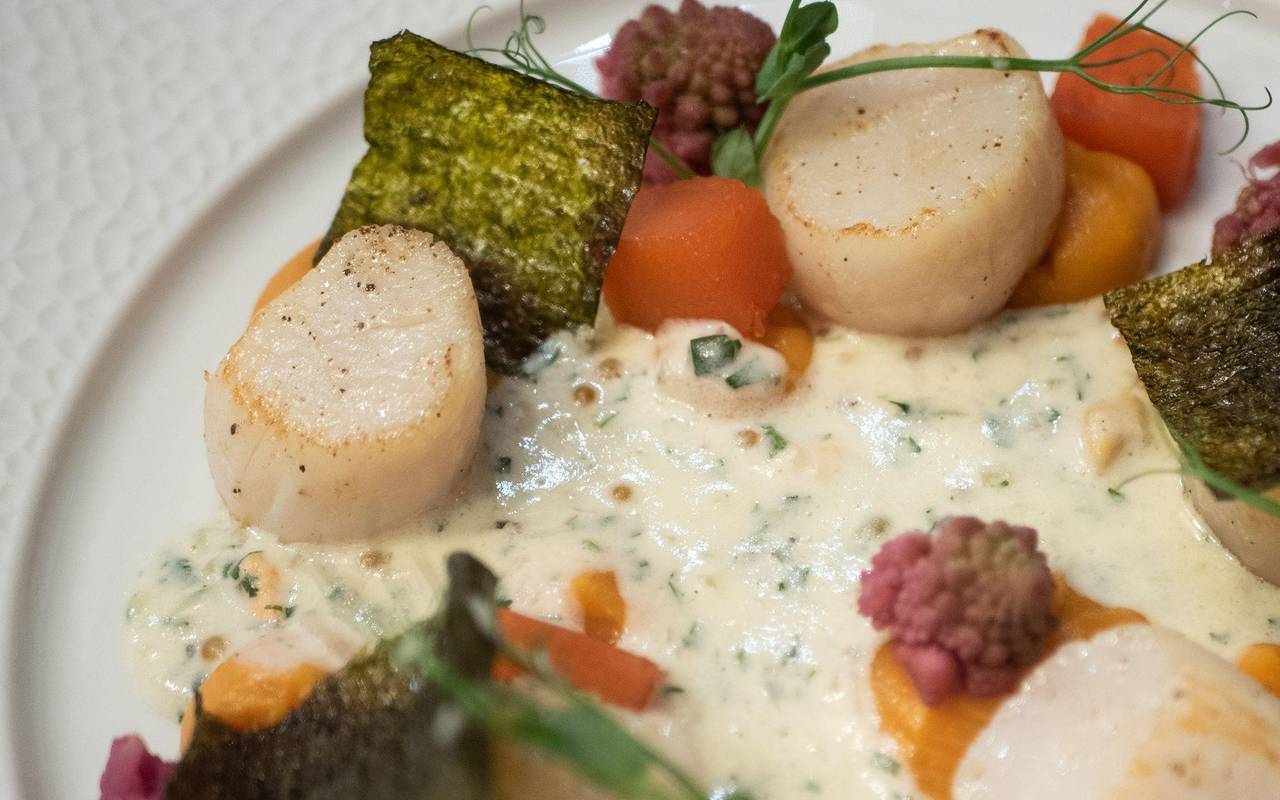 Jakobsmuscheln auf Süßkartoffelpüree