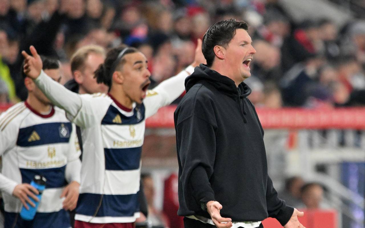 FSV Mainz 05 - Hamburger SV