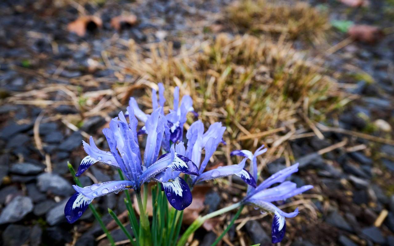 Wetter aus Rheinland-Pfalz