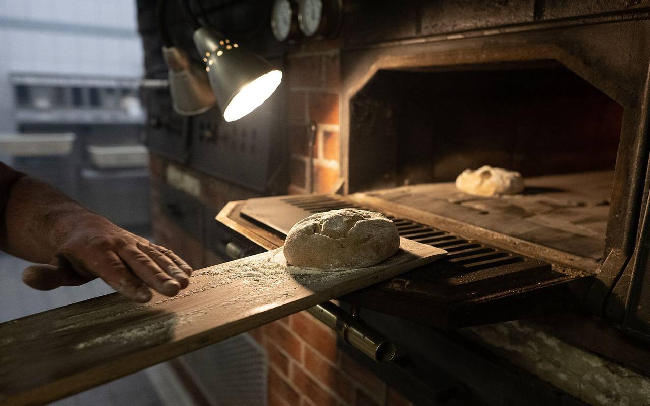 Teig wird auf einem Brotschieber in einen Ofen geschoben