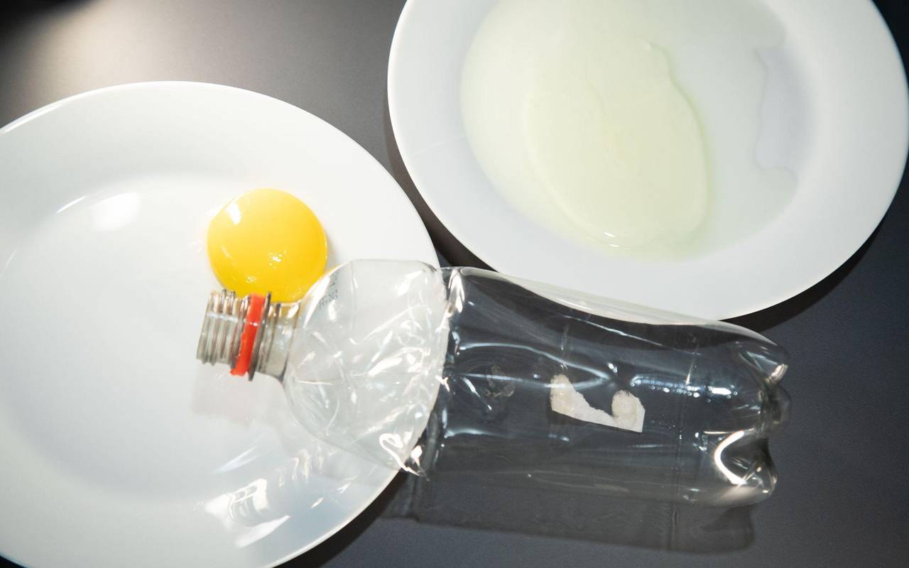 Eigelb und Eiweiß sind auf getrennten Tellern zu sehen