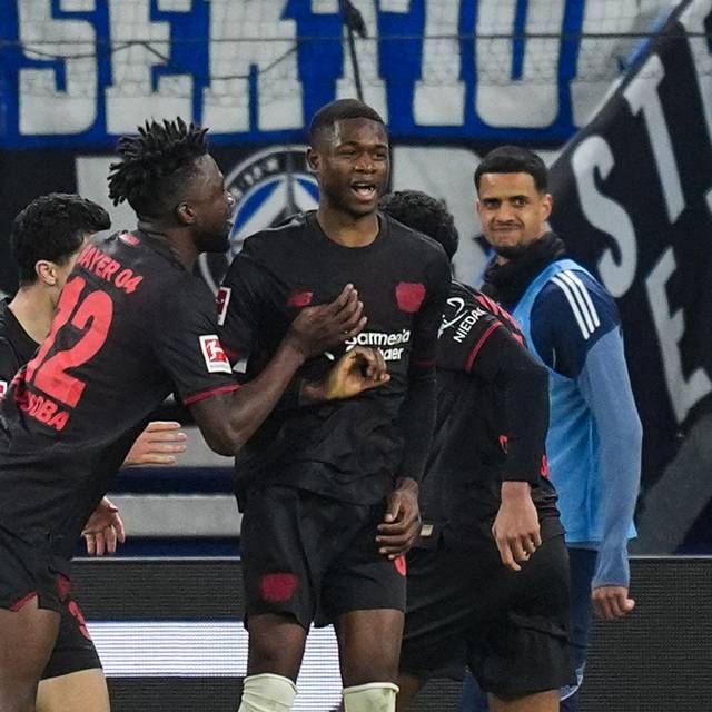 Hamburger SV - Bayer Leverkusen