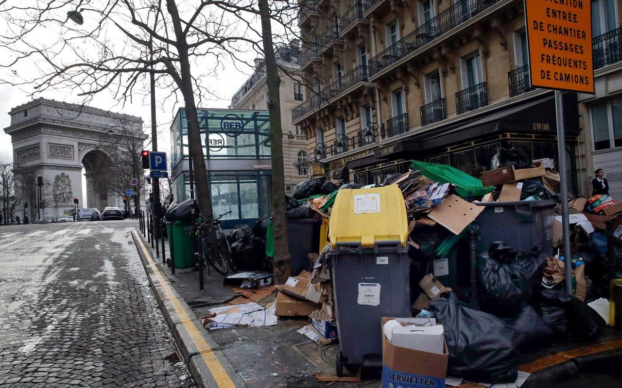 Wahlkampf in Paris - Millionen Ratten sorgen für Streit