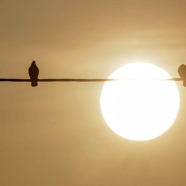 Saharastaub - trübe Sonne am grauen Himmel