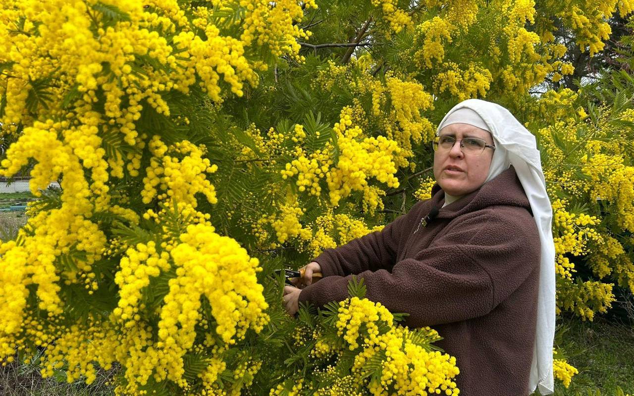 Rebellische Nonnen werden in Spanien aus Kloster vertrieben