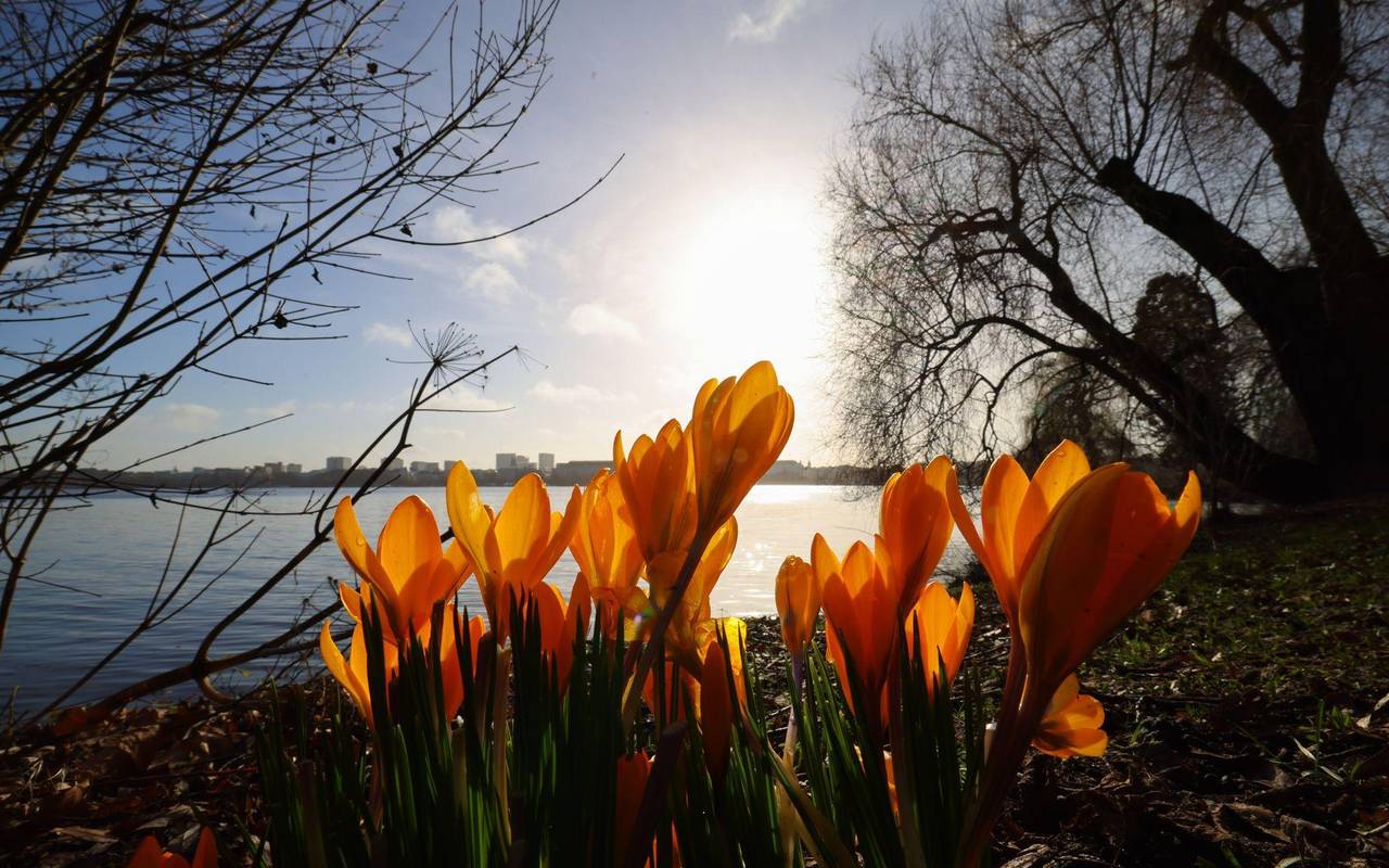 Frühling an der Alster