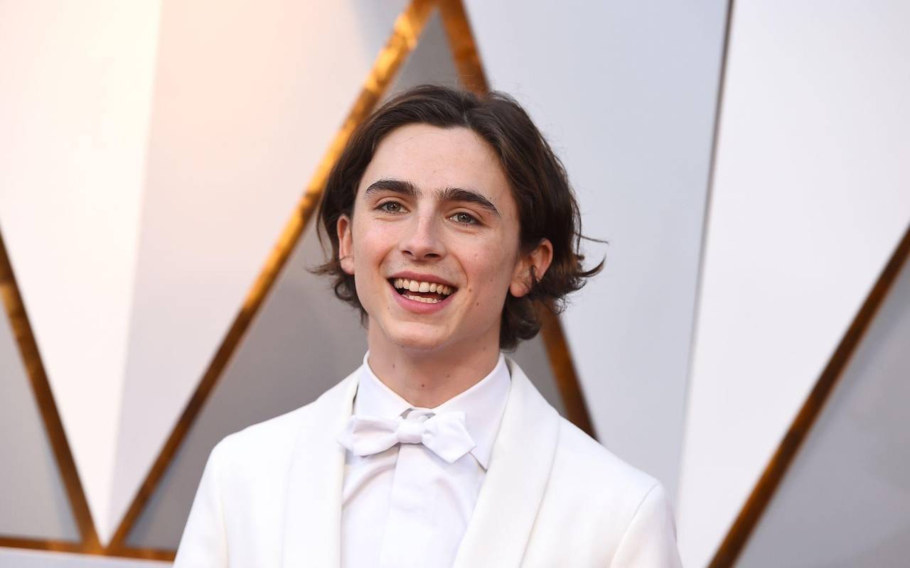 Timothée Chalamet bei Oscars 2018