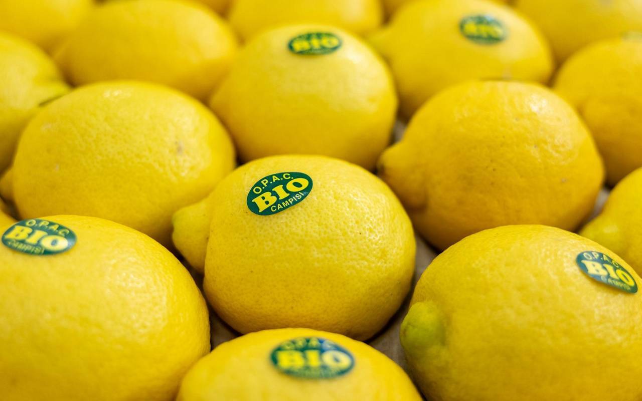 Zitronen auf der Biofach 2025