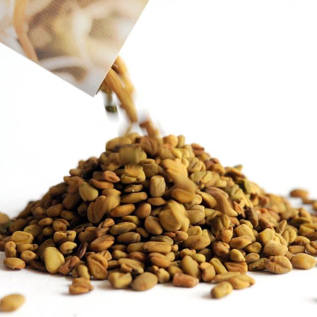 Saatgut von Bockshornklee-Sprossen