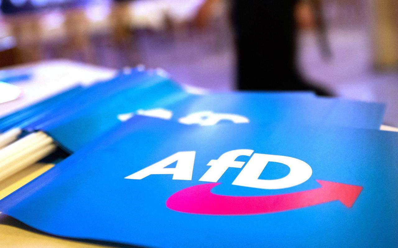 Fahne mit AfD-Logo