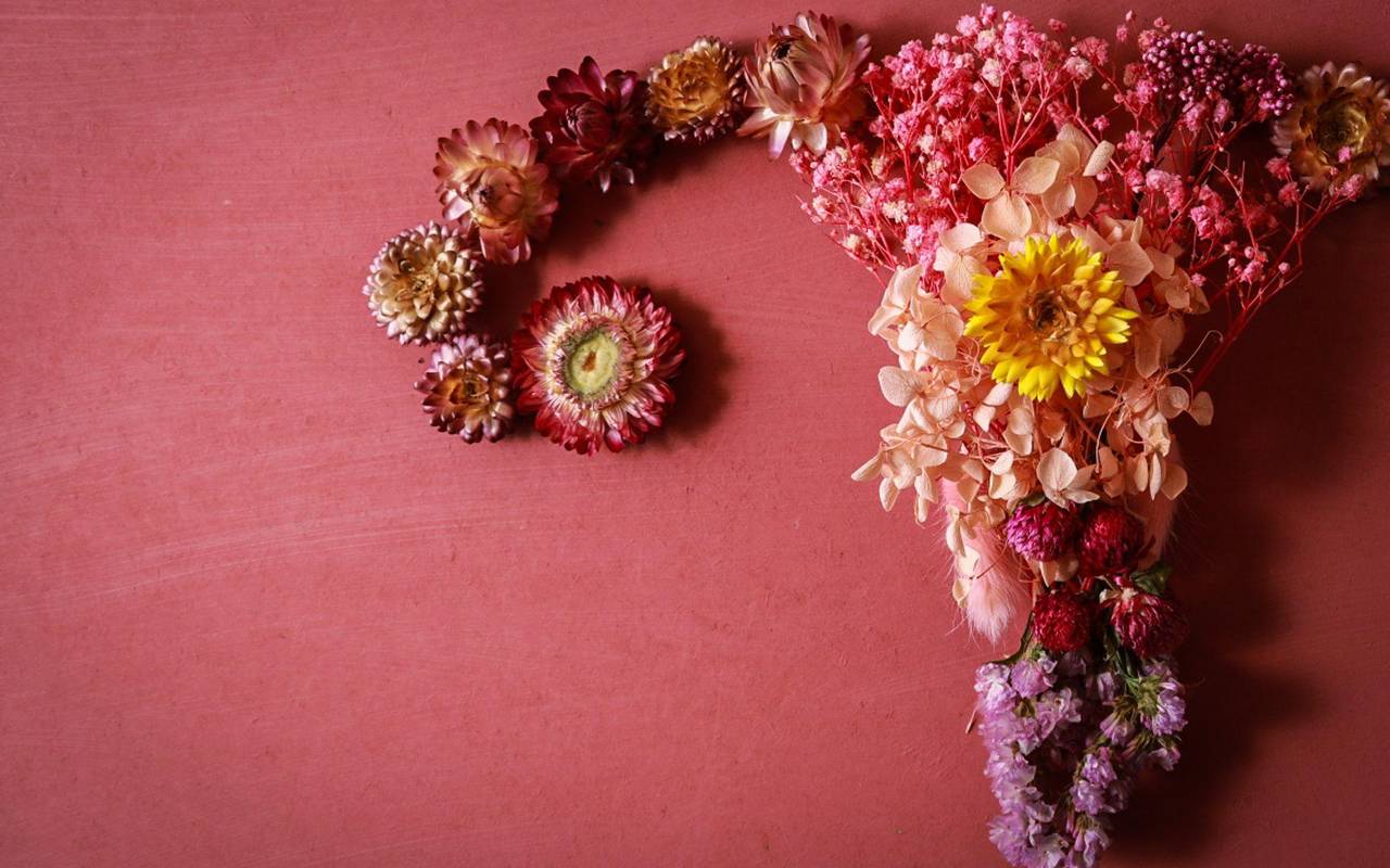 Uterus und Eierstock aus Blumen