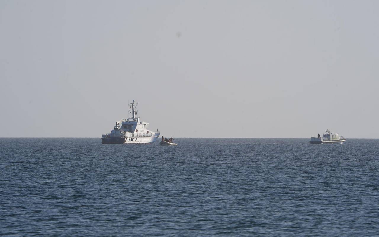 Wal an der Ostseeküste wieder frei