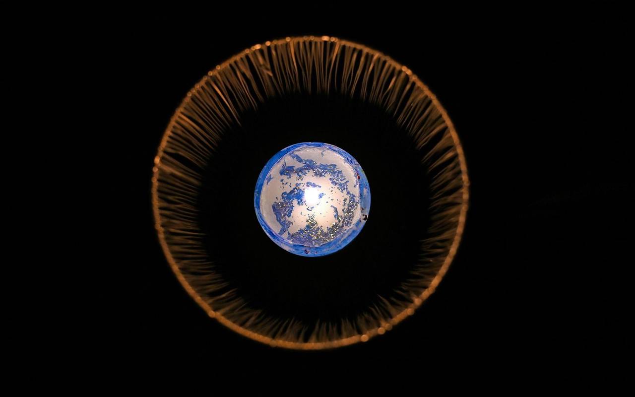 Earth Hour startet in Neuseeland