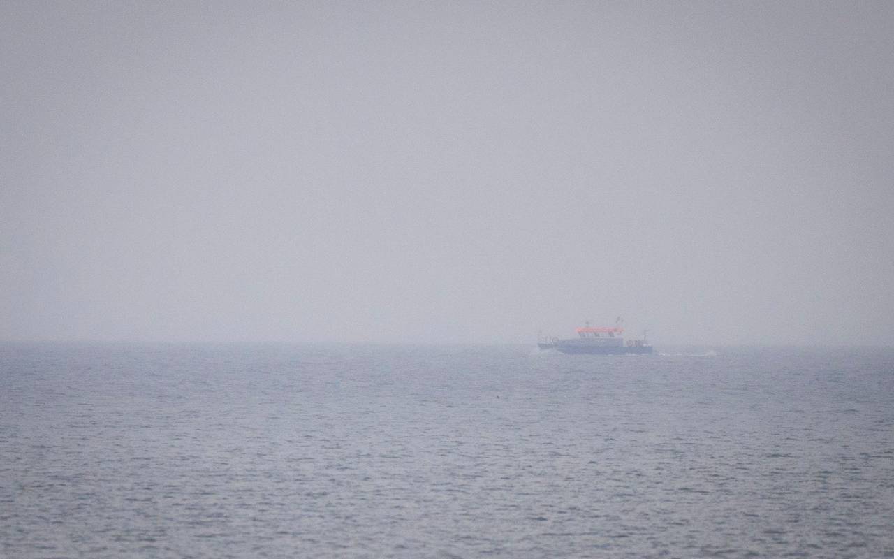 Wal an der Ostseeküste - Fortsetzung der Suche