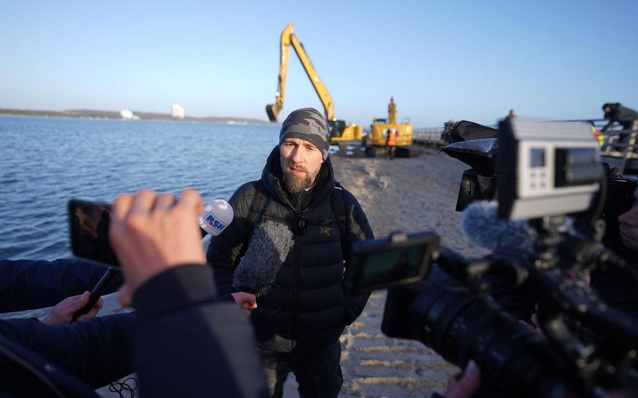 Wal an der Ostseeküste gestrandet