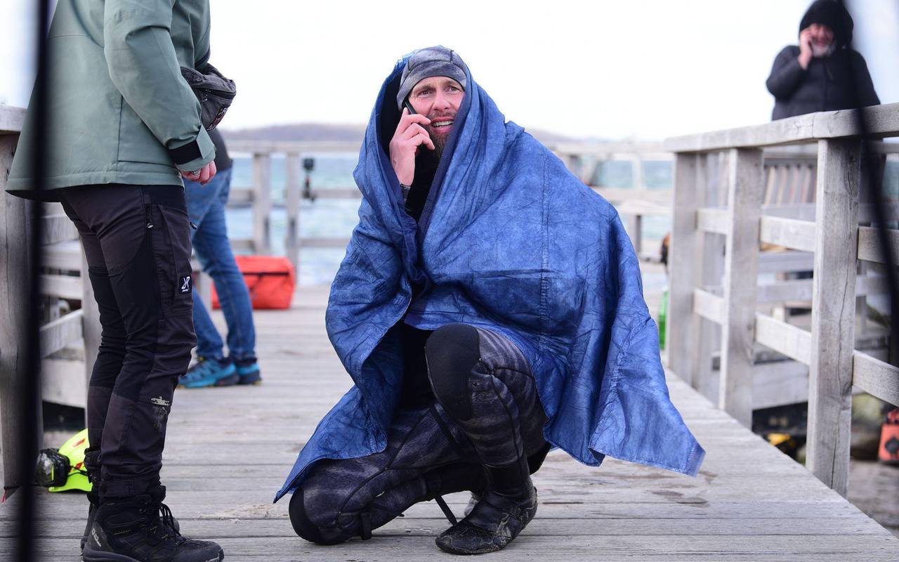 Wal an der Ostseeküste gestrandet