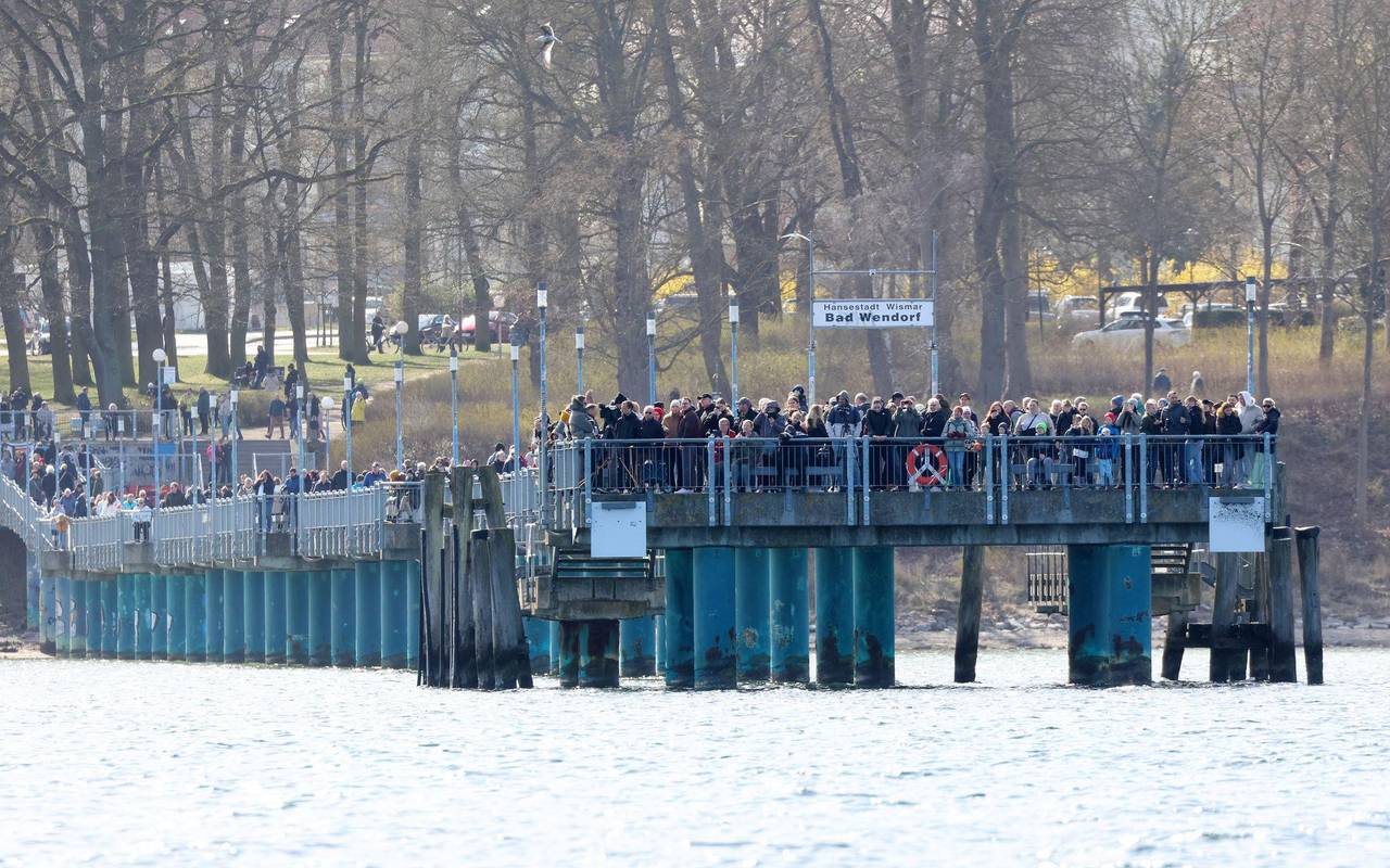 Buckelwal liegt weiter in Wismarbucht