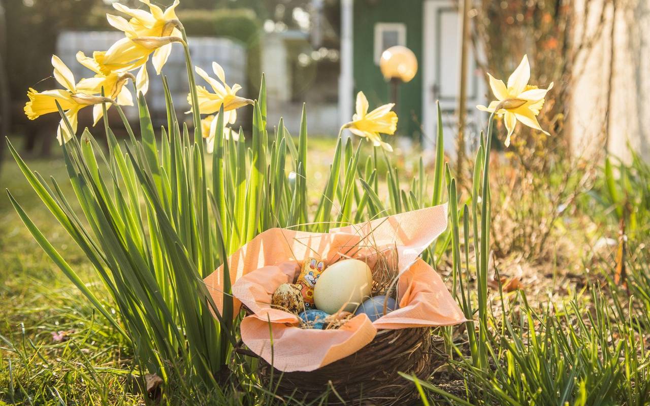 Ostereier in einem Körbchen stehen in einem Garten