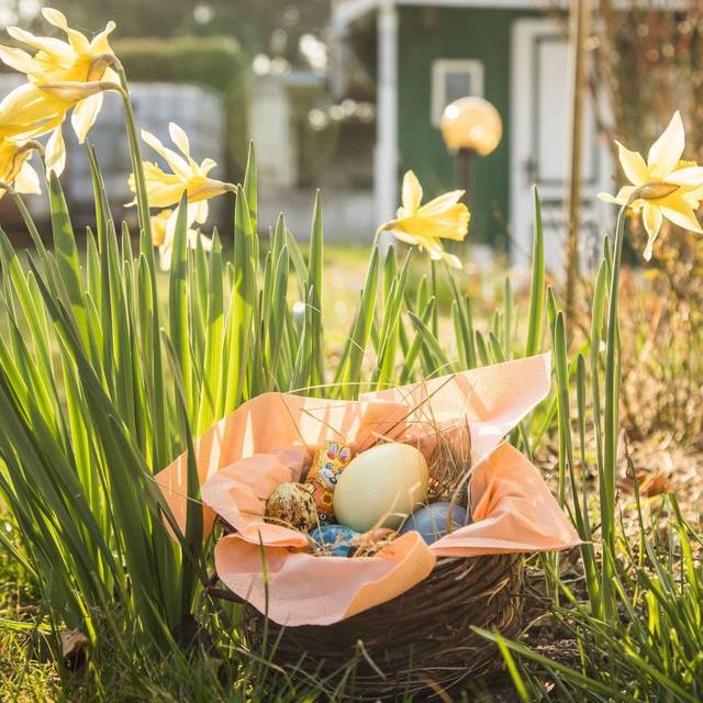 Ostereier in einem Körbchen stehen in einem Garten