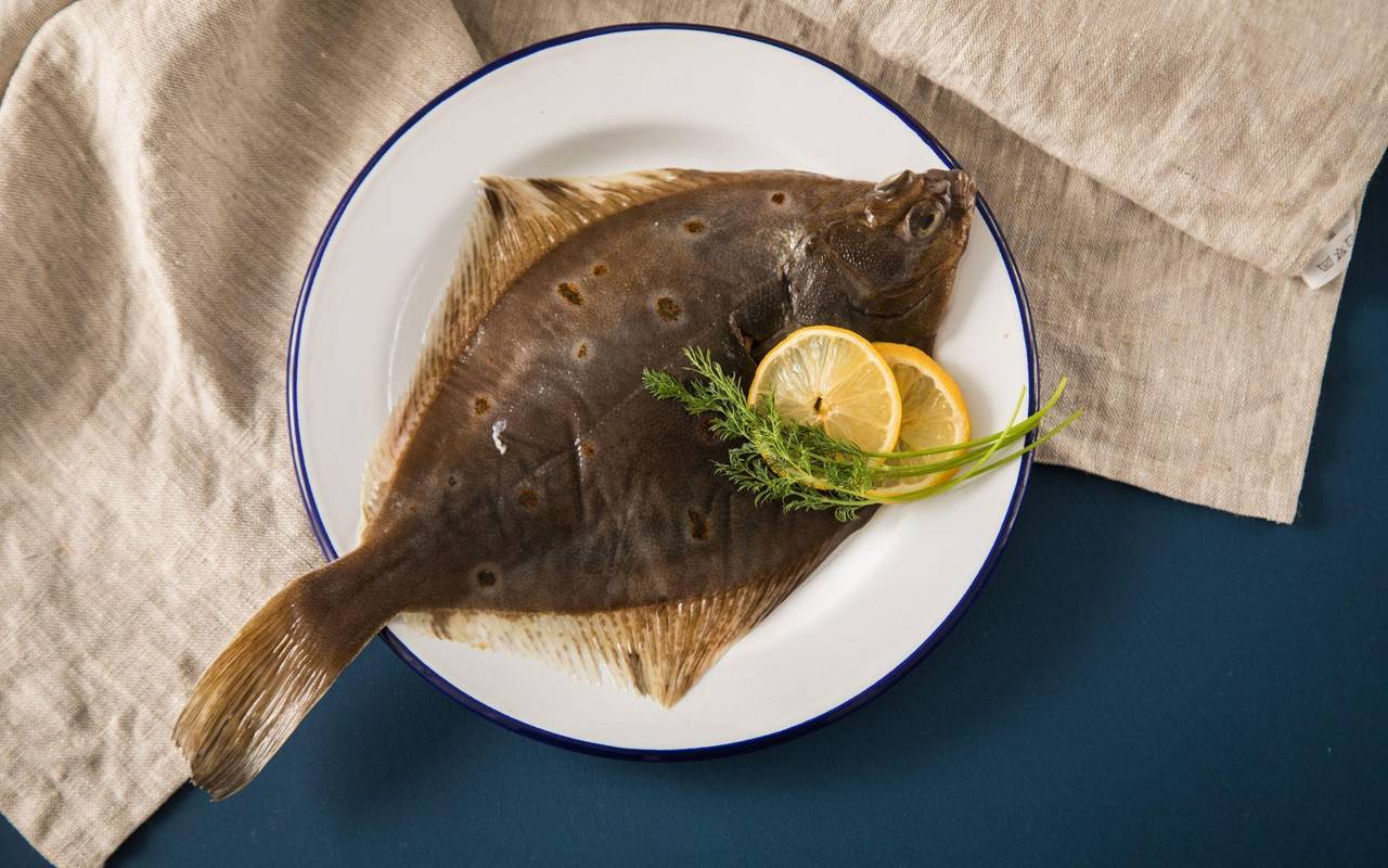 Eine frische Scholle liegt auf einem Teller