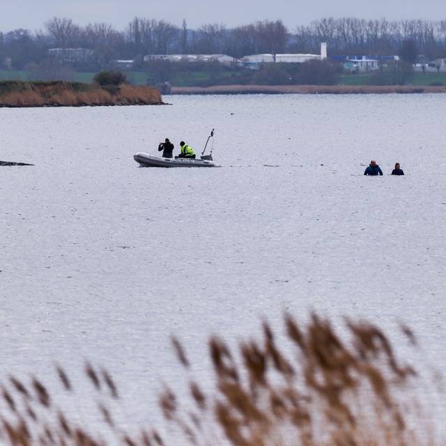 Buckelwal liegt weiter in Wismarbucht