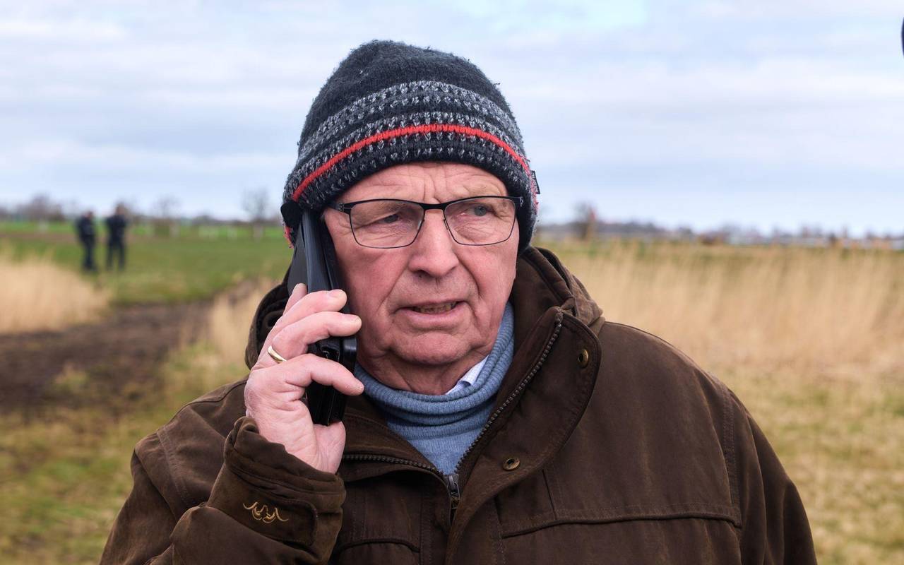 Buckelwal liegt weiter in Wismarbucht