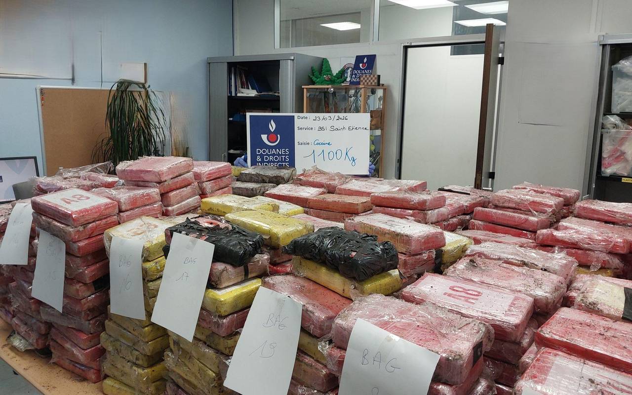 Zoll findet Kokain im Millionenwert in Blumenerde-Laster