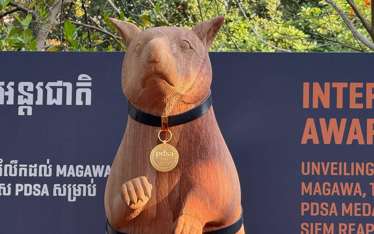 Statue für weltbekannte Minensuch-Ratte Magawa