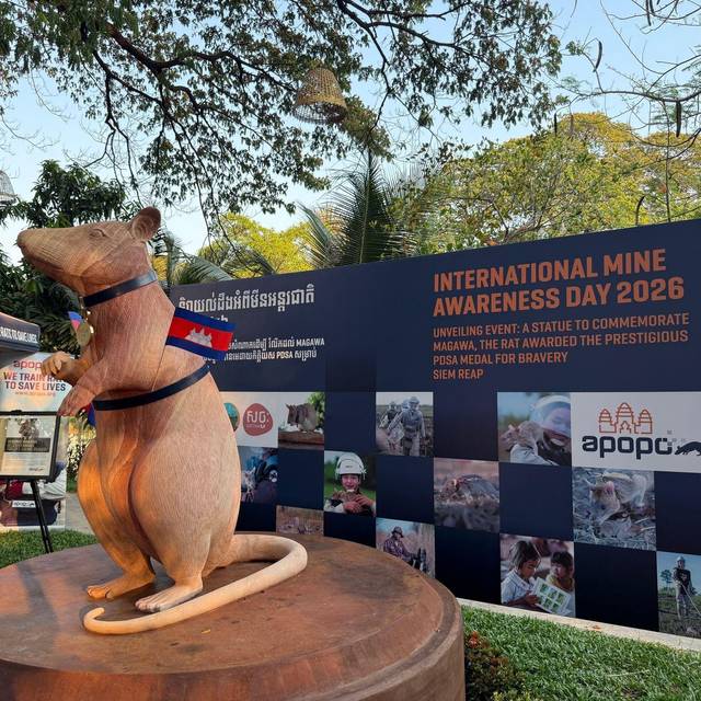 Statue für weltbekannte Minensuch-Ratte Magawa